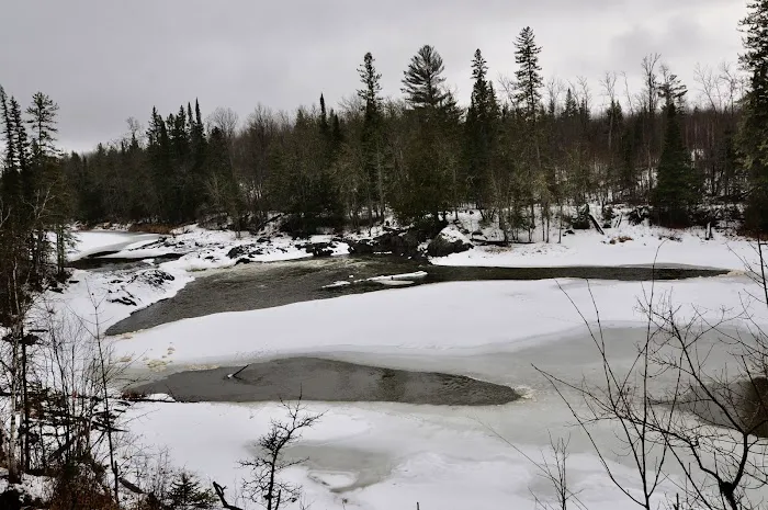 Koochiching State Forest Picture 5