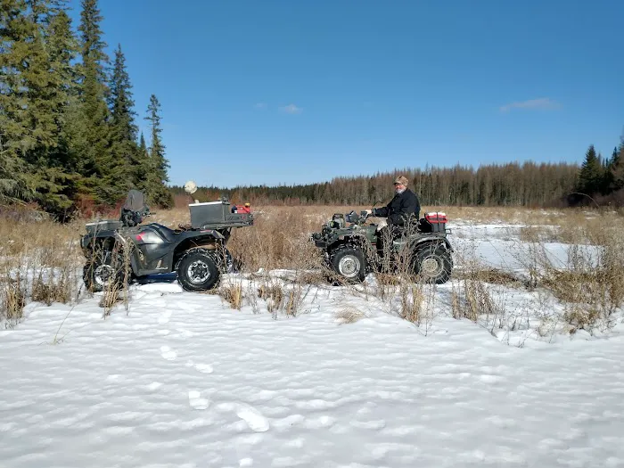 Koochiching State Forest Picture 7