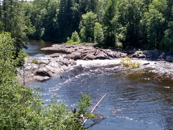 Koochiching State Forest Picture 8