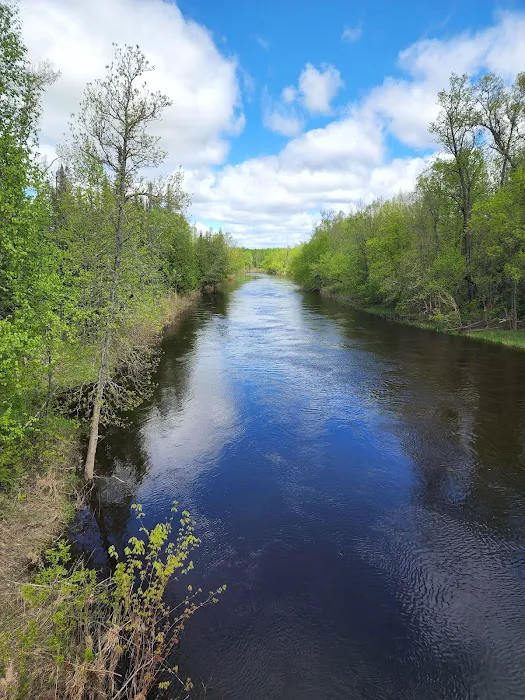 Koochiching State Forest Picture 9