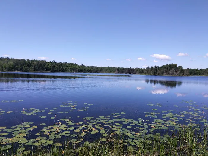 Koochiching State Forest Picture 6