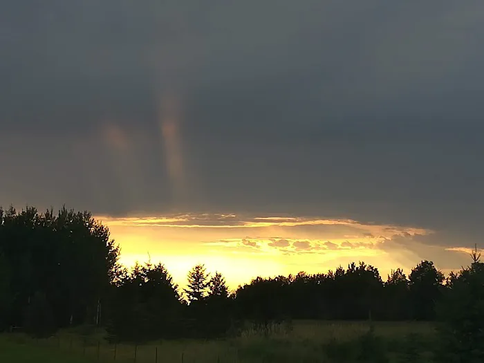 Koochiching State Forest Picture 10