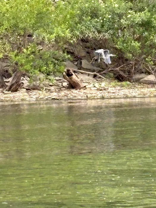 Pomona Outlet Campground Picture 1