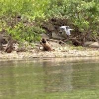 Pomona Outlet Campground ico