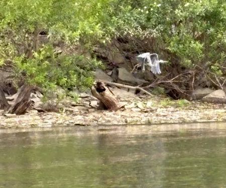 Pomona Outlet Campground