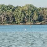 Cedar Park Campground