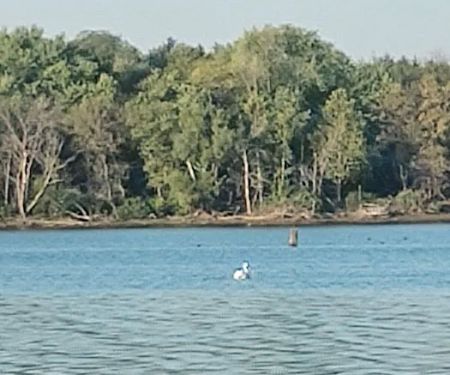 Cedar Park Campground