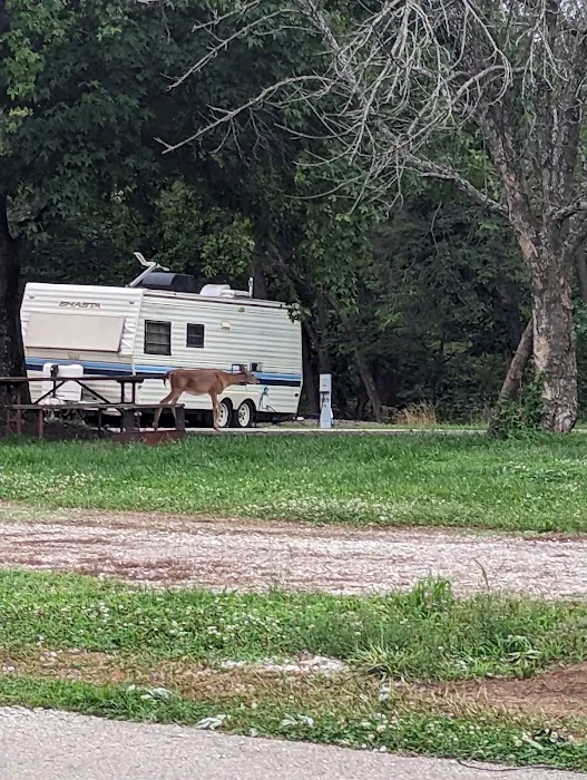 Coneflower Campground Picture 6