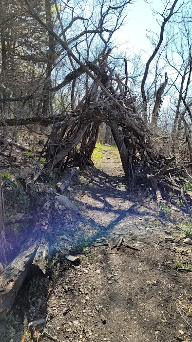 Coneflower Campground Picture 10