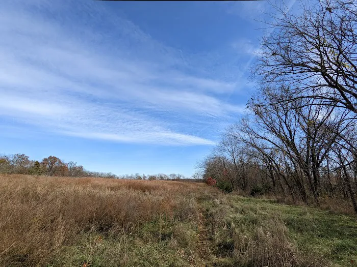 Woodridge Public Use Area Picture 6