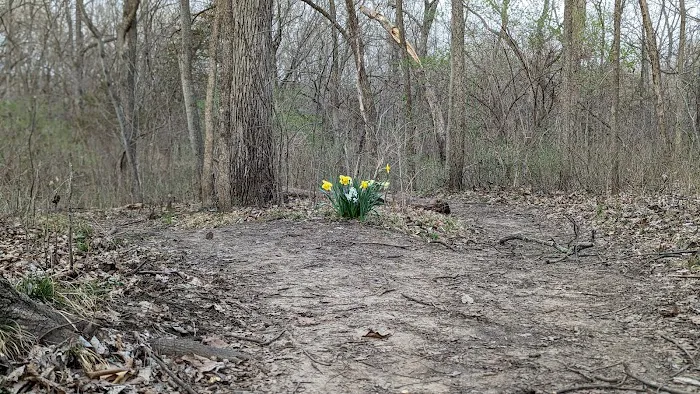 Woodridge Public Use Area Picture 7