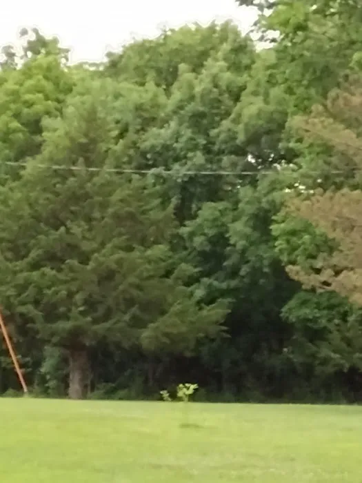 Camp Mt Hermon Picture 5