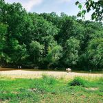 Smokey Valley Campground1