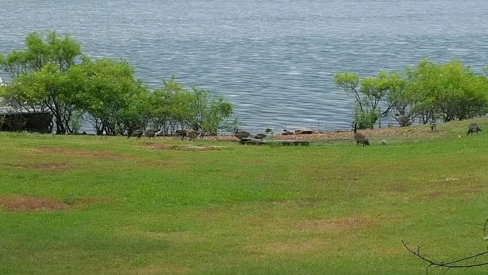 Pettit Bay Picture 7