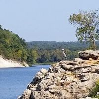 Pettit Bay ico