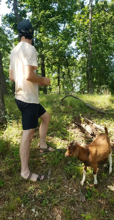 The real Goat Island Picture 6