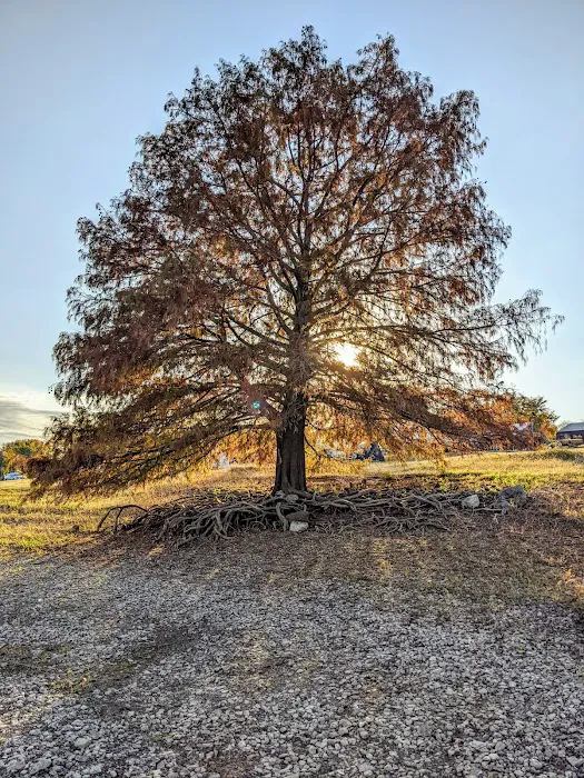 Cherokee Campground Picture 8