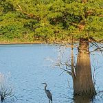 Snake Creek Campground
