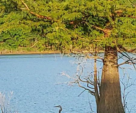 Snake Creek Campground