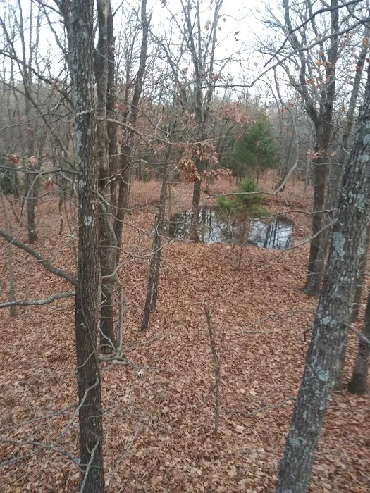 Flat Rock Creek Campground Picture 9
