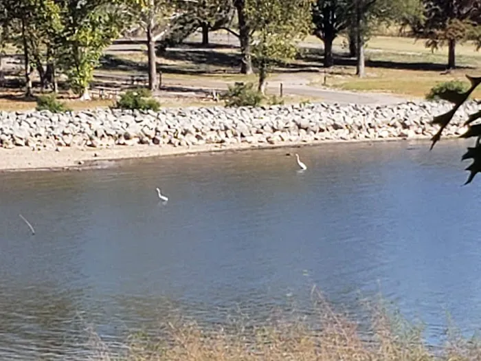 Taylor Ferry South Picture 2
