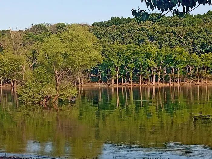 Taylor Ferry South Picture 5