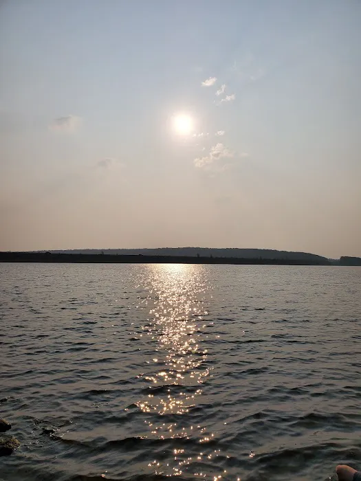 Taylor Ferry South Picture 9