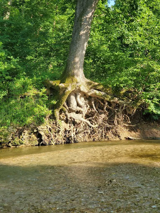 Whippoorwill Camp Ground Picture 1