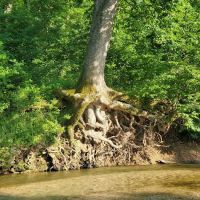 Whippoorwill Camp Ground ico