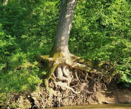 Whippoorwill Camp Ground