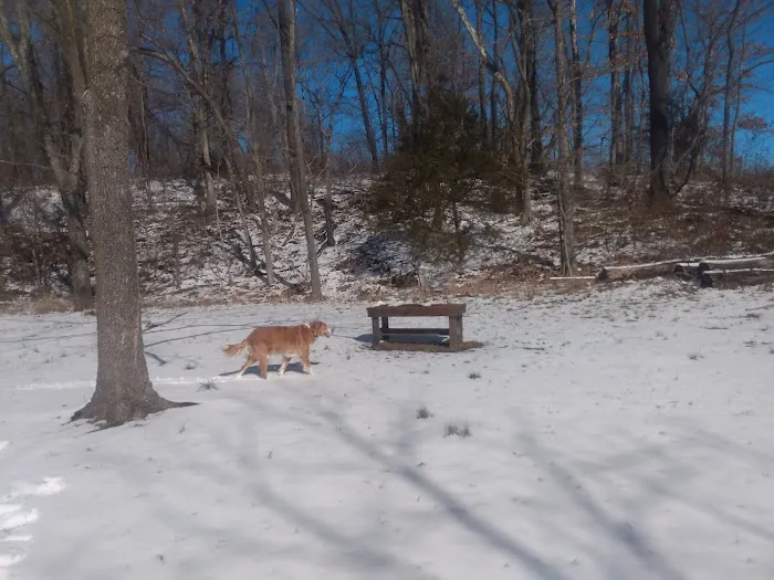 Camp Peniel Picture 2