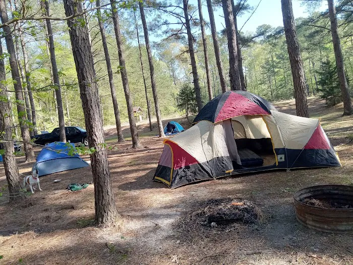 Miners' Camping Picture 9