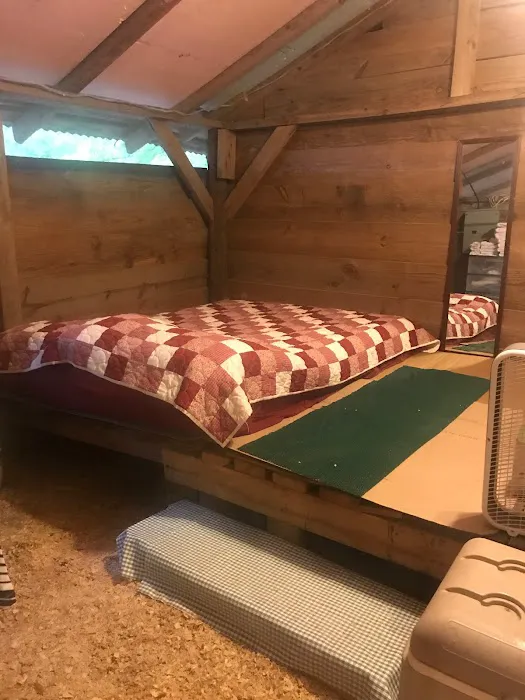 Ebenezer Methodist Campground Picture 3