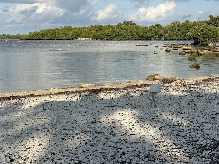 John Pennekamp Camp Area Picture 2