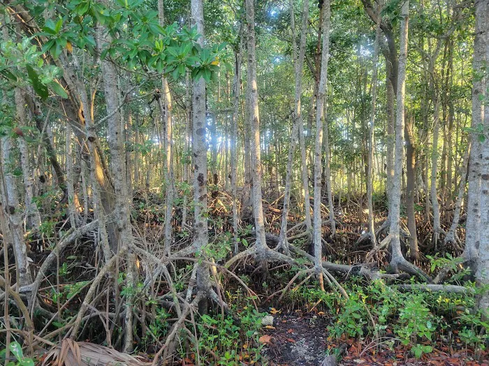 John Pennekamp Camp Area Picture 10