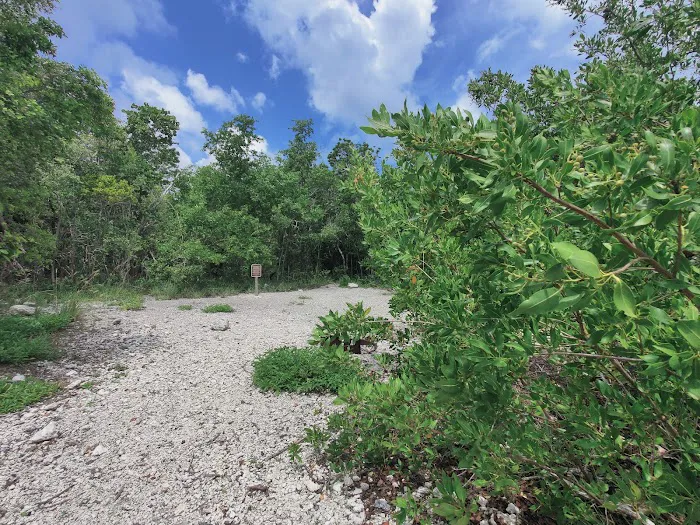 Port Bougainville Campsite Picture 3