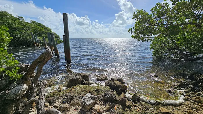 Port Bougainville Campsite Picture 1