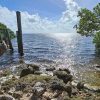 Port Bougainville Campsite ico