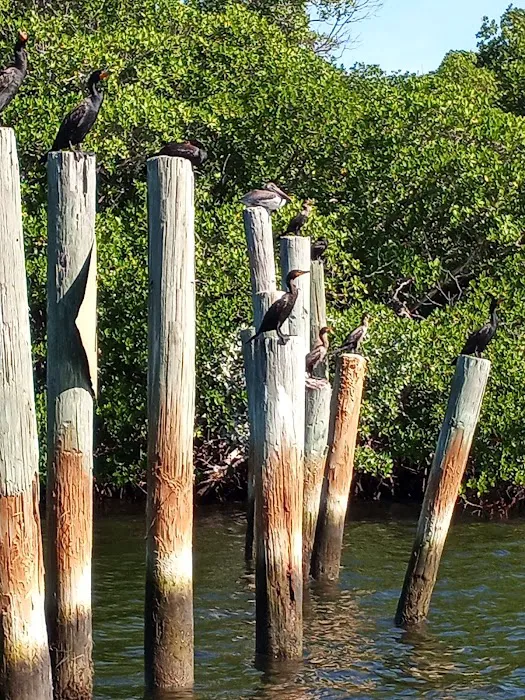 Port Bougainville Campsite Picture 4
