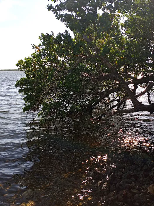 Port Bougainville Campsite Picture 10