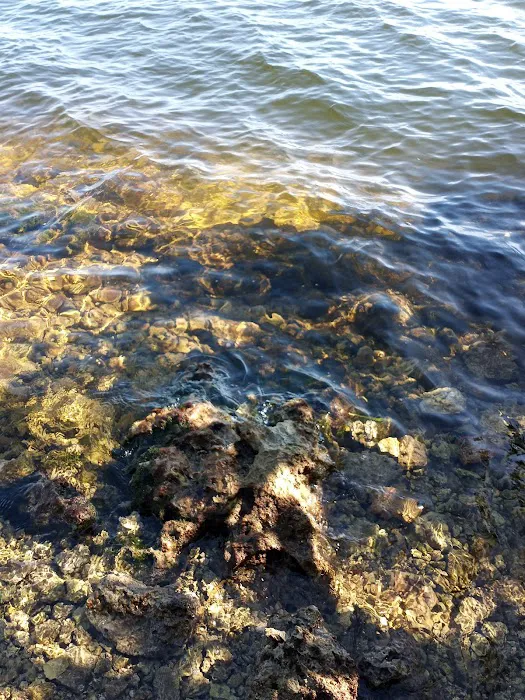 Port Bougainville Campsite Picture 9