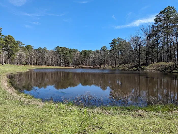 Coal Bluff Park Campground Picture 8