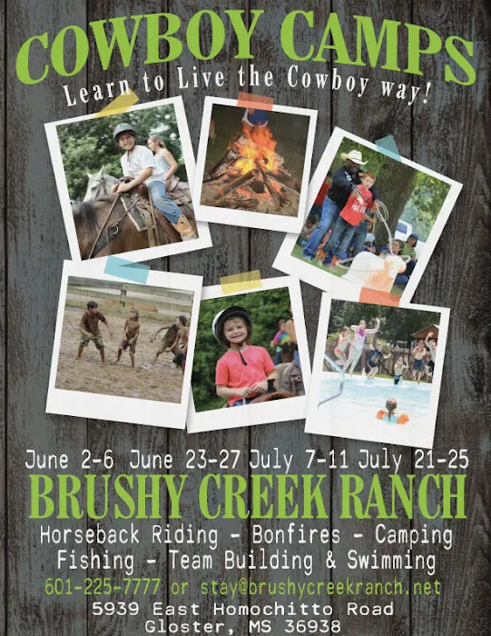 Brushy Creek Ranch Picture 7