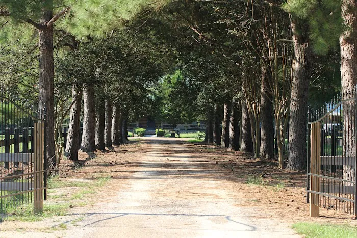 Brushy Creek Ranch Picture 4