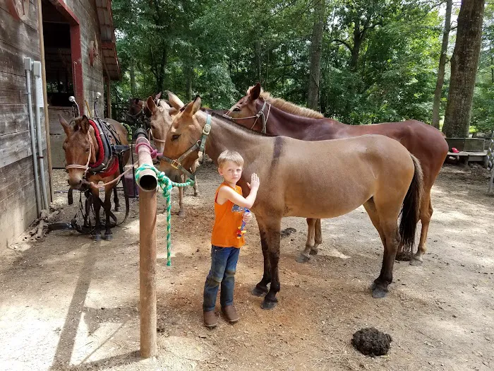 Brushy Creek Ranch Picture 6