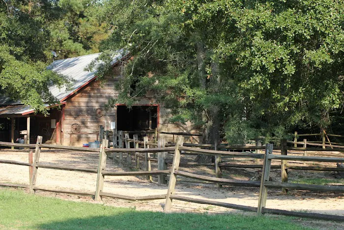 Brushy Creek Ranch Picture 3