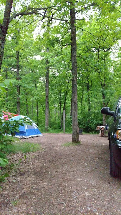 Pine Ridge Campground Picture 6