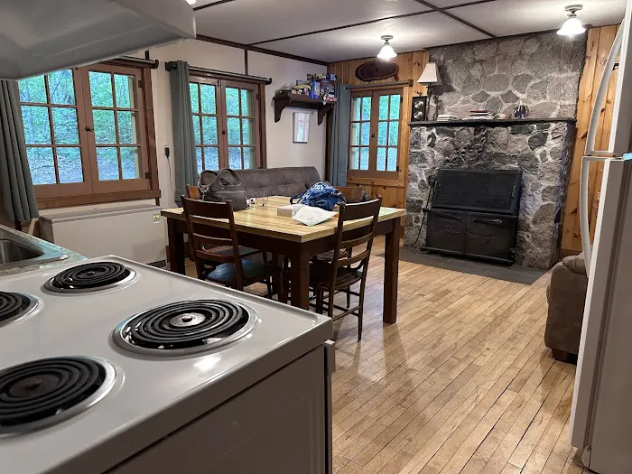 Lake Ozawindib Cabin Picture 5
