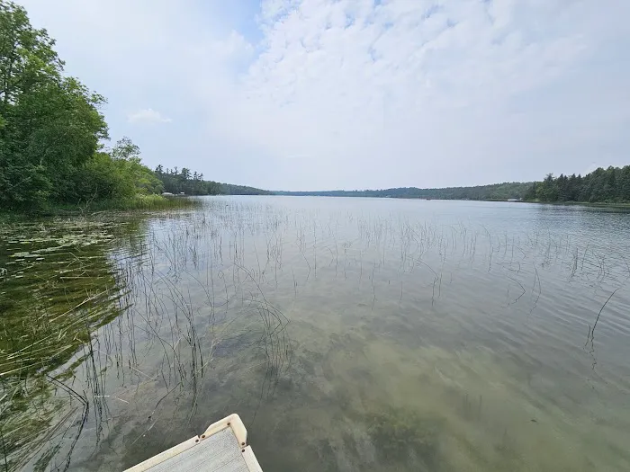 Black Bear Hollow Seasonal RV Park Picture 2