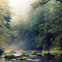 Johnson's Landing and Campground ico